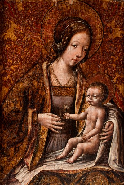 Madonna and Child by Flemish School